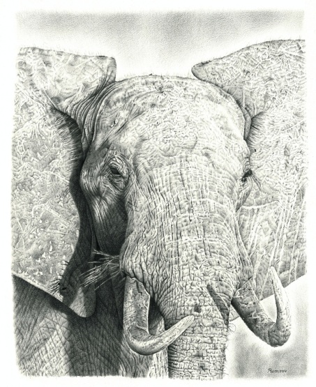 Elephant print 2