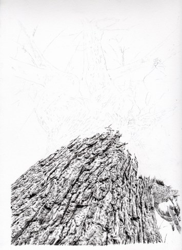 Photorealistic pen drawing of a tree