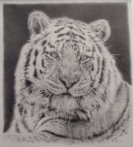 Photorealistic drawing of a tiger