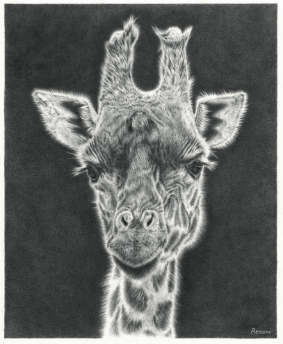 Photorealistic Giraffe Pencil Drawing