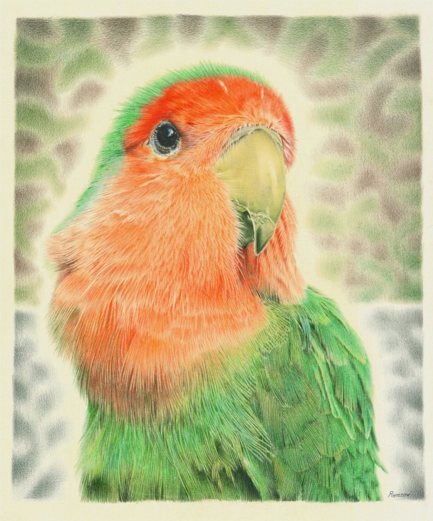 Photorealistic pencil drawing of my lovebird