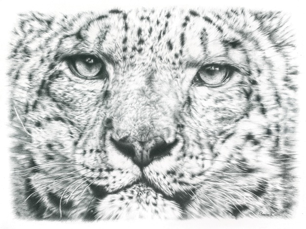 Leopard drawing2 2